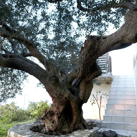 Private In Kefalonia Island *